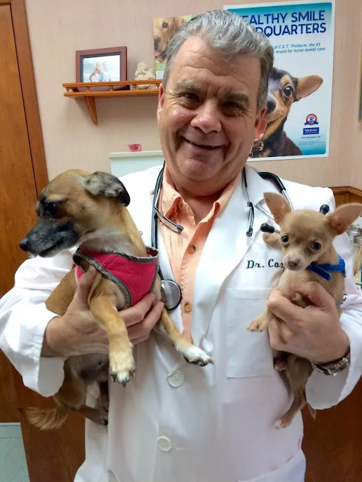 Sugar Creek Animal Clinic 1