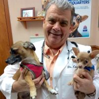 Sugar Creek Animal Clinic ico