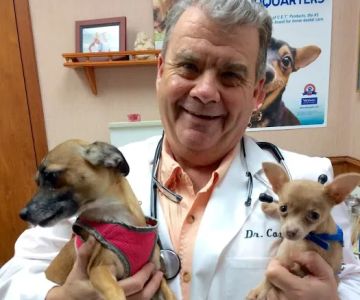 Sugar Creek Animal Clinic