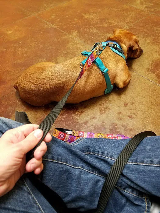 VCA Stafford Oaks Animal Hospital 4