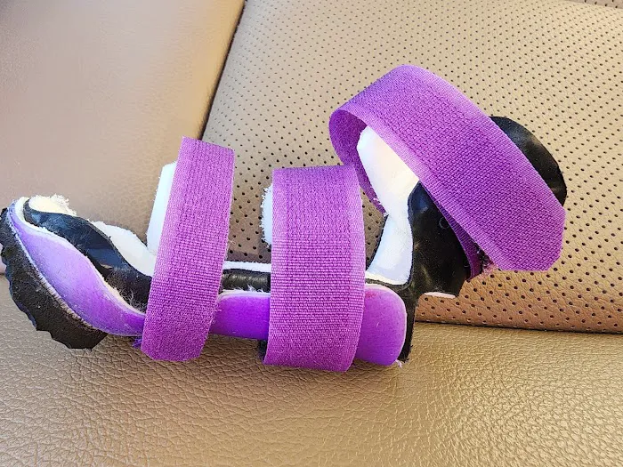 Pet Artificial Limbs & Supports 2