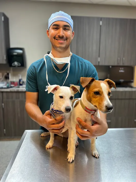 H-Town Veterinary Specialists (Stafford) 7