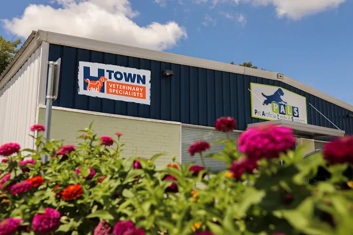 H-Town Veterinary Specialists (Stafford) 10