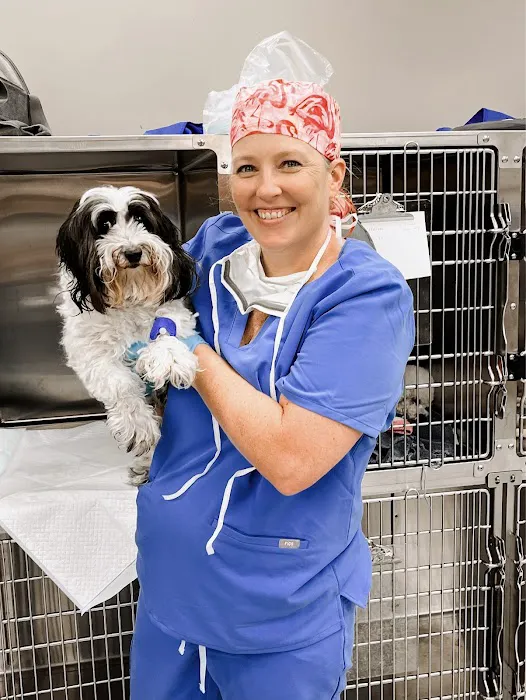 H-Town Veterinary Specialists (Stafford) 9