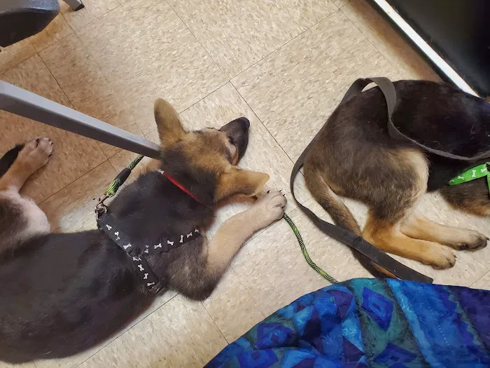 Economy Pet Clinic 5