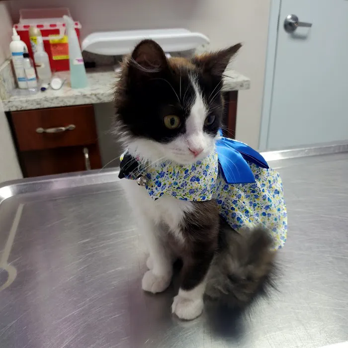Economy Pet Clinic 3