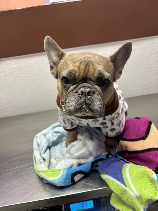 Economy Pet Clinic 9