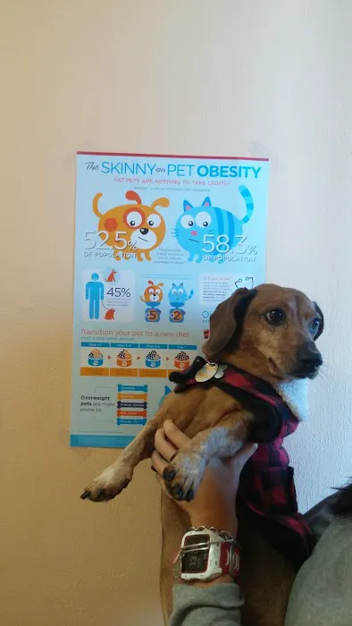 Economy Pet Clinic 8