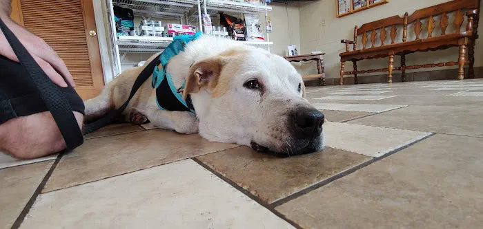 Stafford Veterinary Clinic 7