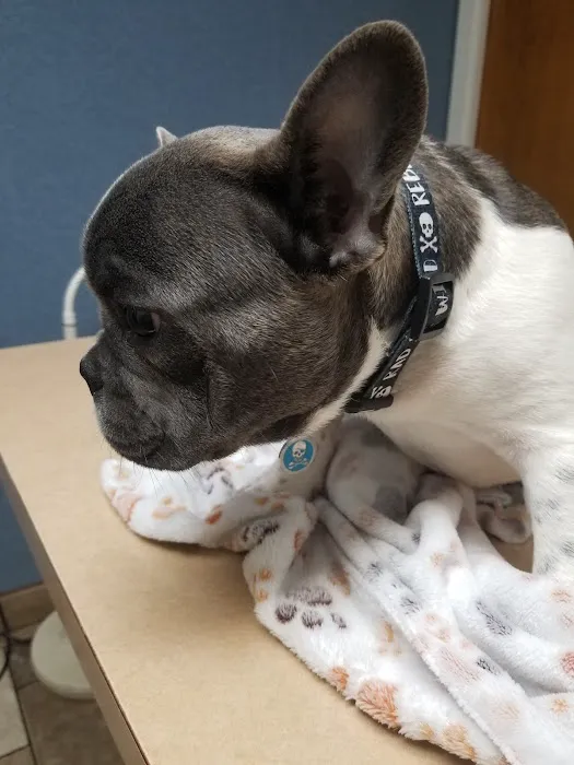 Stafford Veterinary Clinic 8