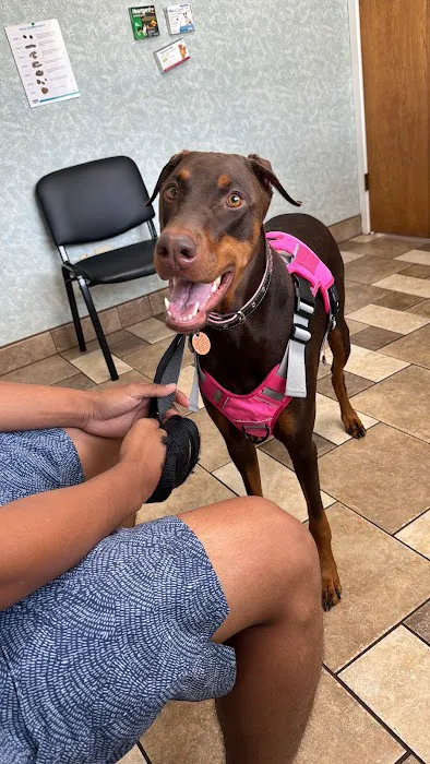 Stafford Veterinary Clinic 6