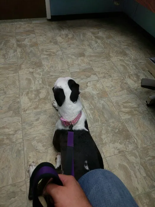 Veterinary Hospital of Alvin 10