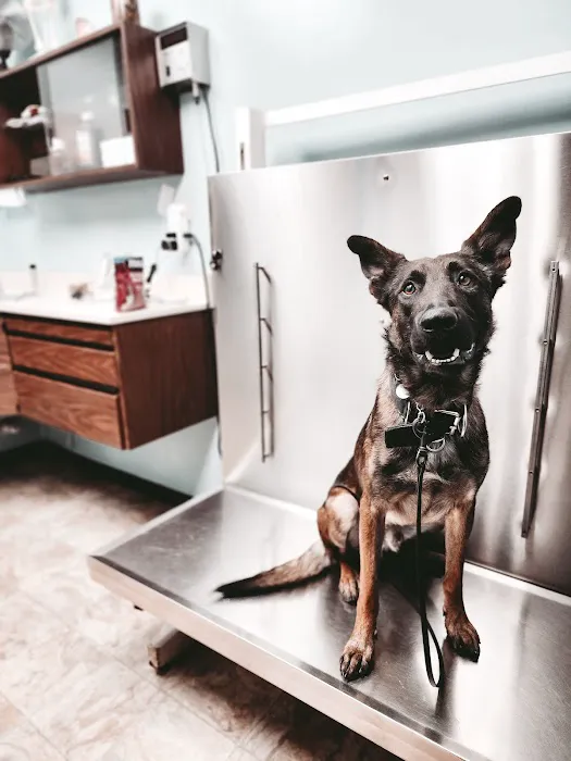 Veterinary Hospital of Alvin 7