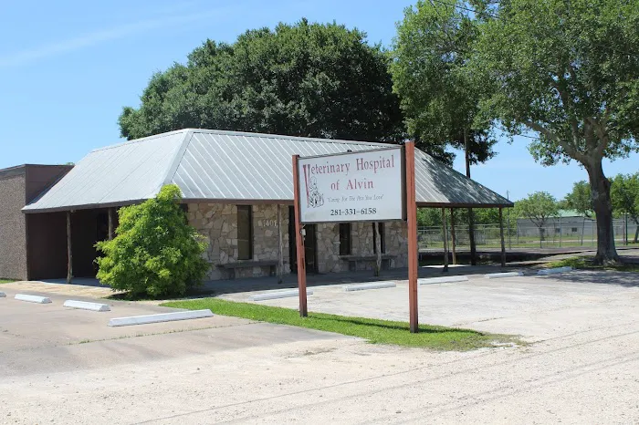 Veterinary Hospital of Alvin 8