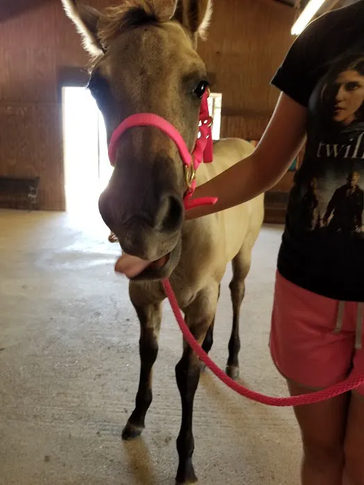 Gulf Coast Large Animal Clinic 1