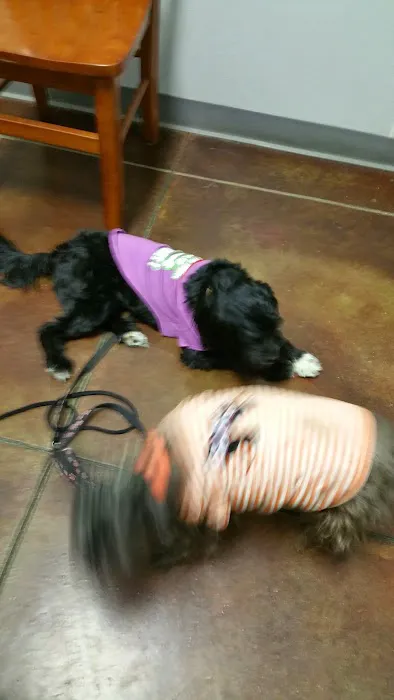 All Paws Veterinary Clinic 9