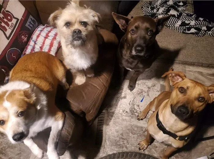 Sherwood Animal Clinic 4