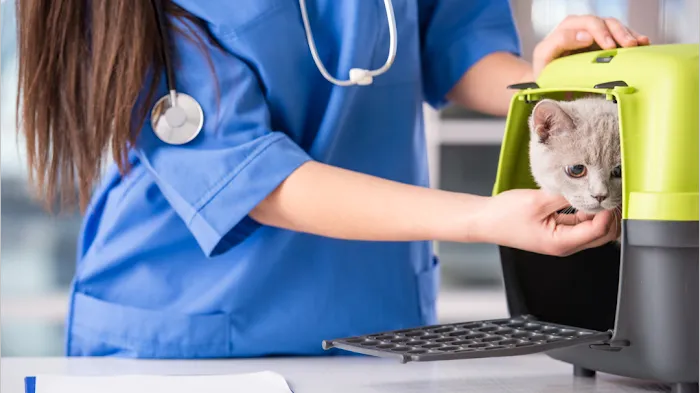 Sherwood Animal Clinic 10