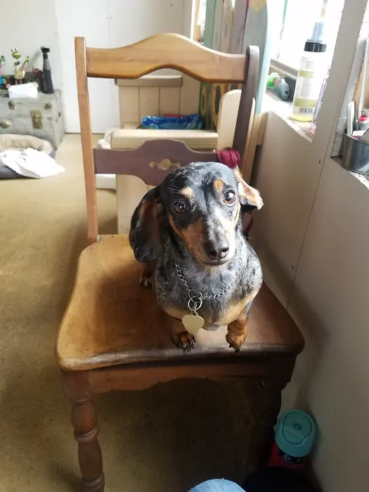 Sherwood Animal Clinic 9