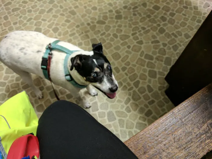 Sherwood Animal Clinic 6