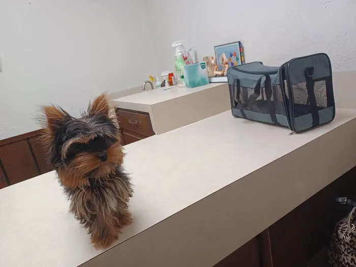 Sherwood Animal Clinic 1