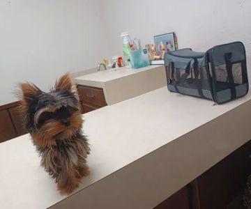 Sherwood Animal Clinic