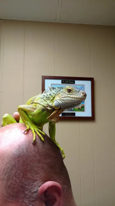 West End Animal Clinic 2