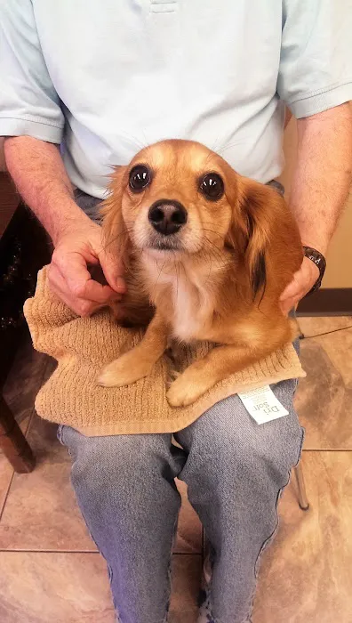 West End Animal Clinic 8