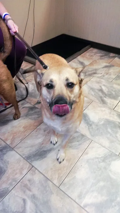 West End Animal Clinic 7