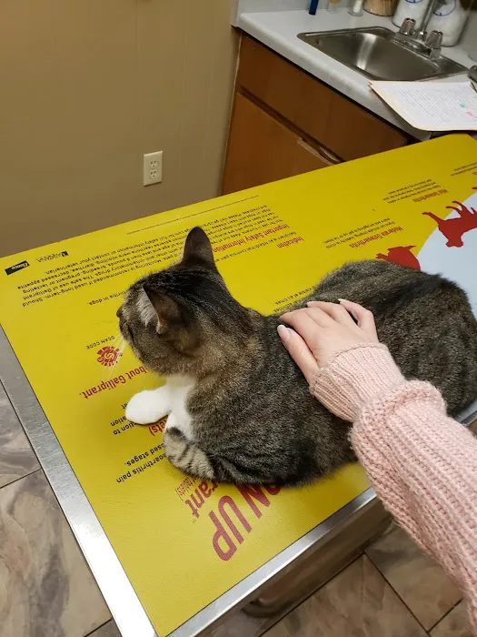 West End Animal Clinic 4
