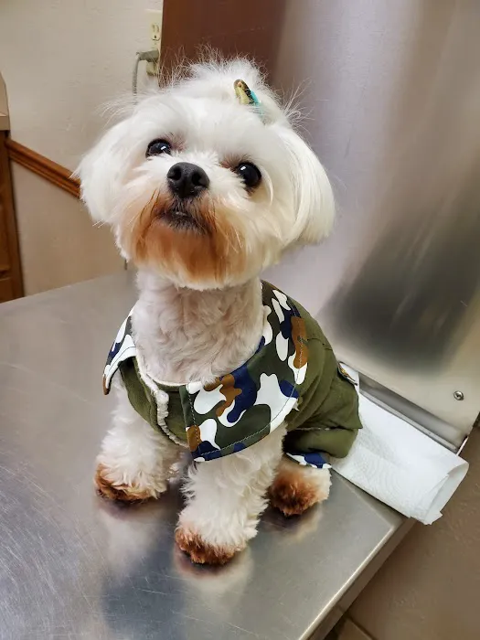 Beaumont West Animal Care 3