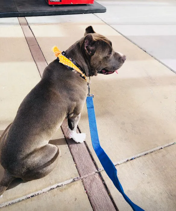 Beaumont West Animal Care 7
