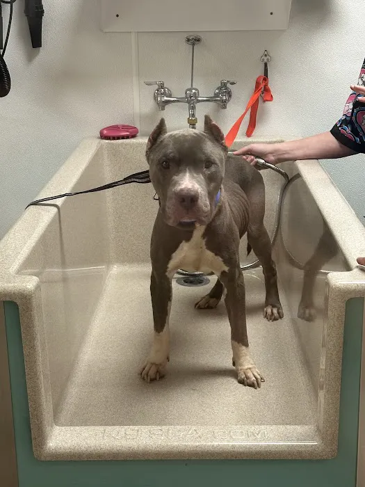 Beaumont West Animal Care 4
