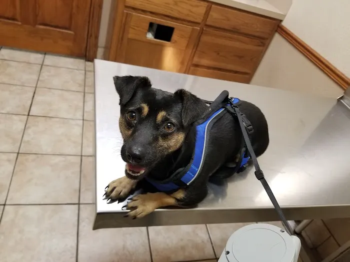 Beaumont West Animal Care 2