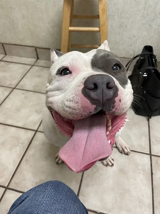 Dowlen Road Veterinary Center 2