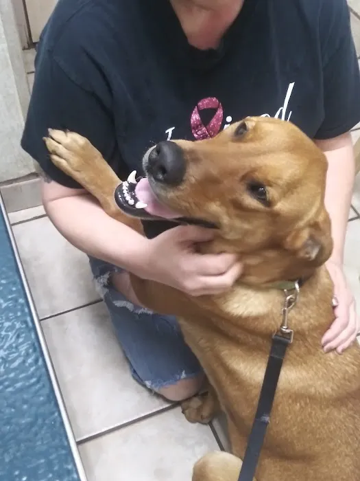 Dowlen Road Veterinary Center 3
