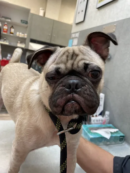 Dowlen Road Veterinary Center 5