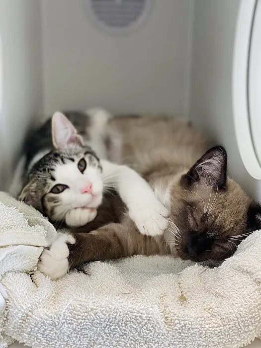 Delaware Animal Clinic 2