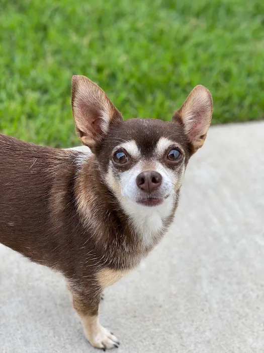 Delaware Animal Clinic 3