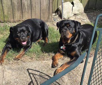 Spurlock Road Veterinary Clinic