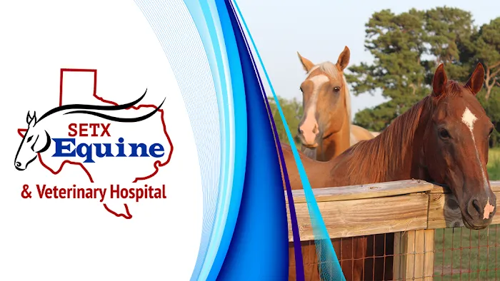 Southeast Texas Equine and Veterinary Hospital, P.L.L.C. 10