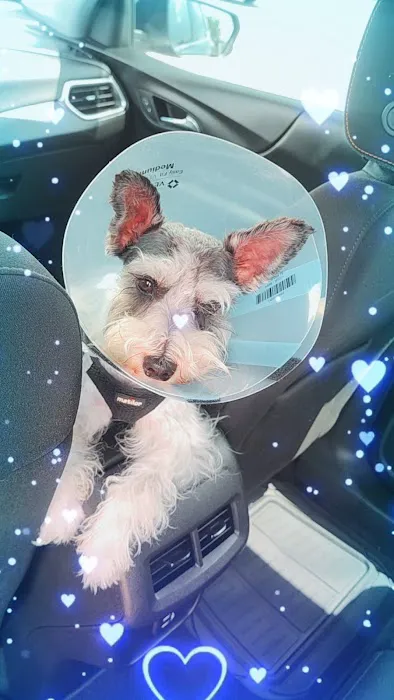 Fix Ur Pet 7
