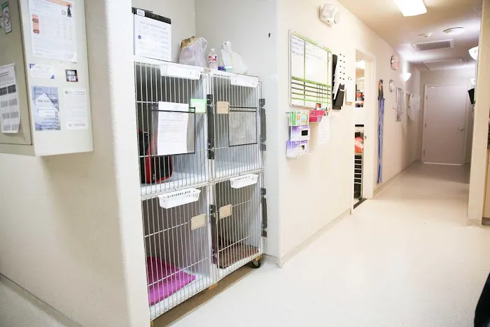 Loving Care Pet Hospital 6