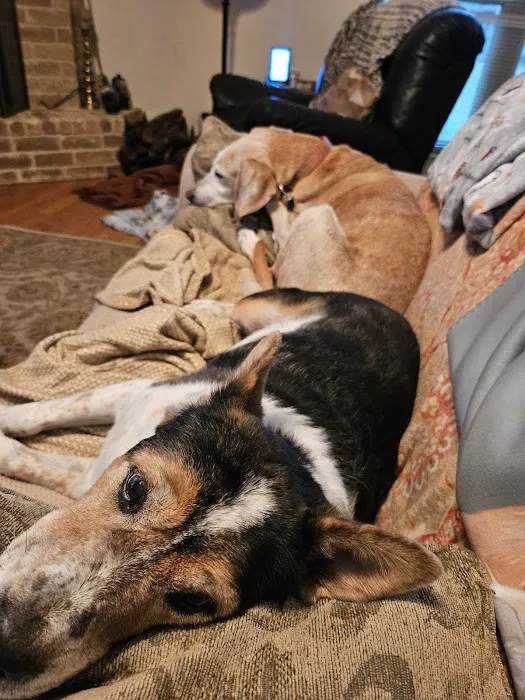 Loving Care Pet Hospital 1
