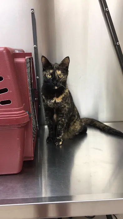 Loving Care Pet Hospital 3