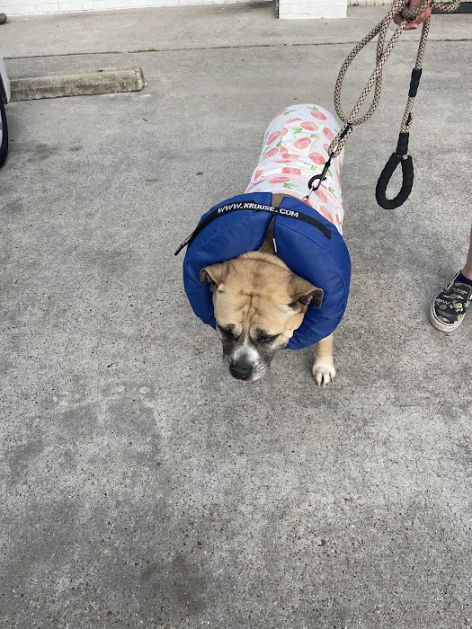 The Fe Animal Hospital 8