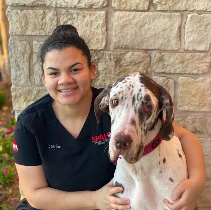 Sienna Plantation Animal Hospital 3