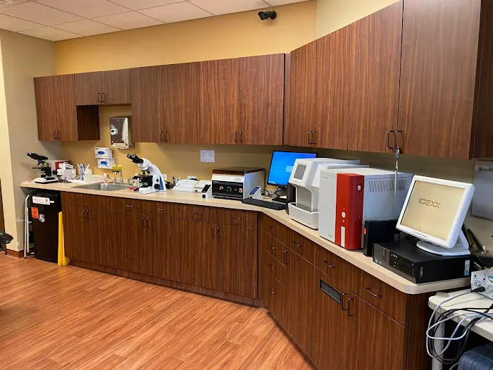 Sienna Plantation Animal Hospital 10