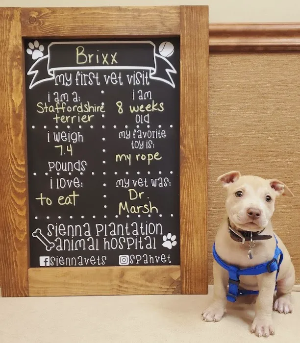 Sienna Plantation Animal Hospital 5