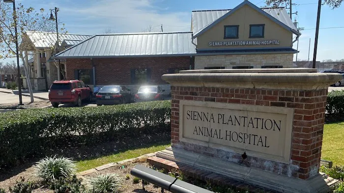 Sienna Plantation Animal Hospital 6